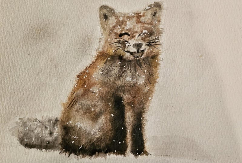 Fox in Snow