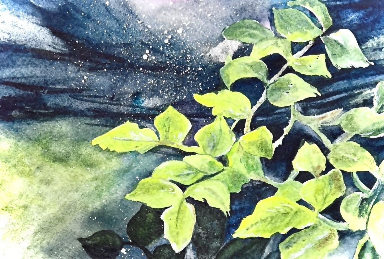 Granulating Shadows - student project
