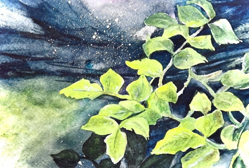 Granulating Shadows