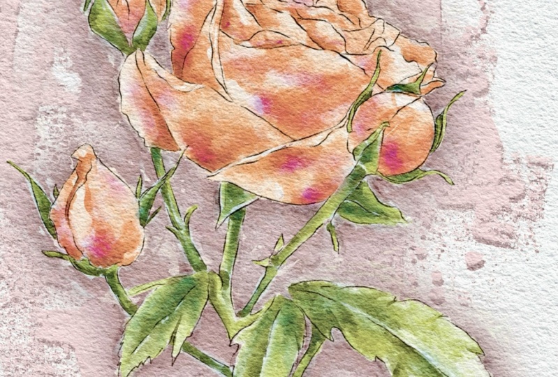 Watercolor Rose
