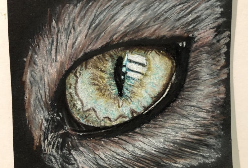 Cat’s Eyes: Studies in Colored Pencil on Black Paper