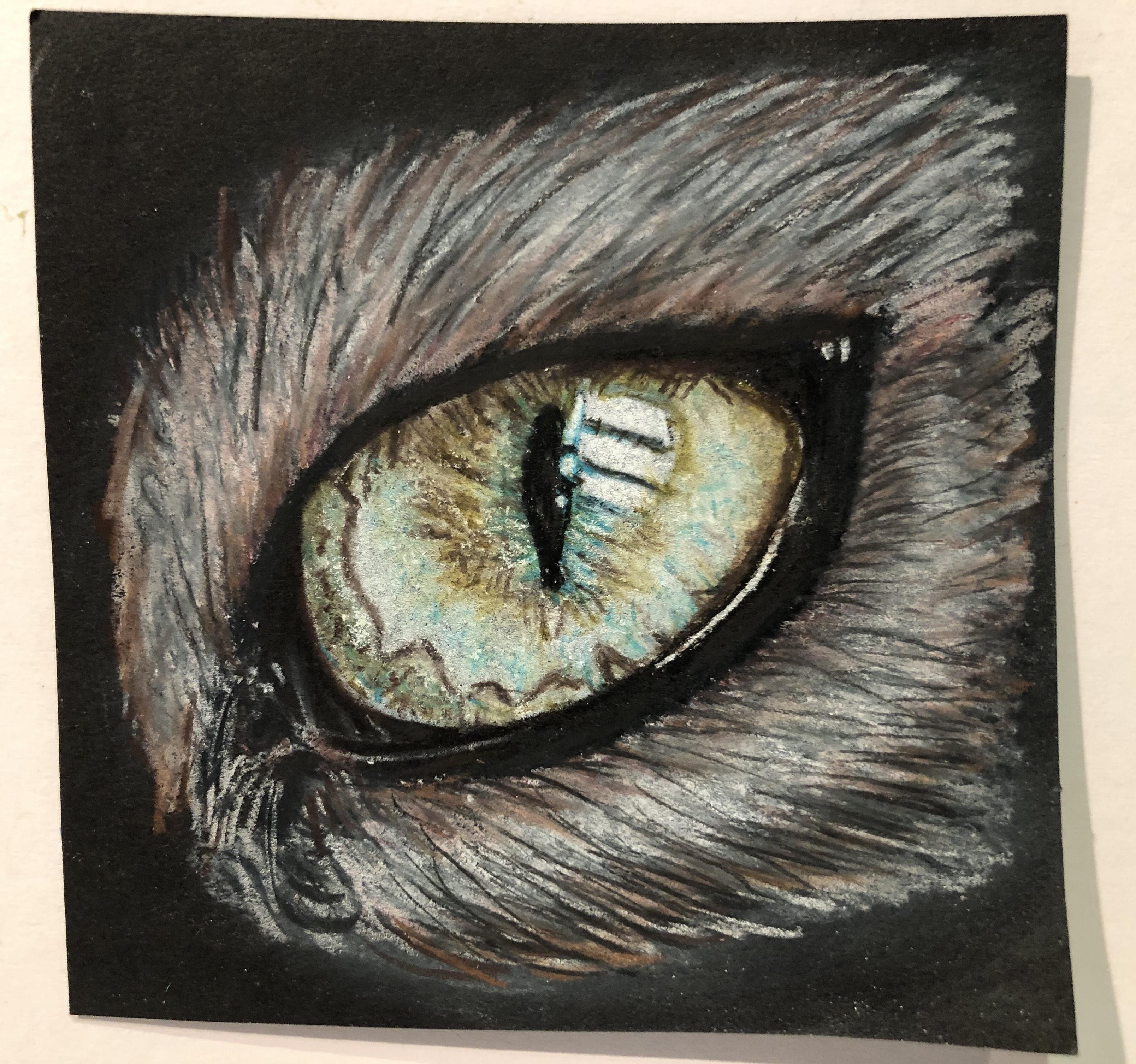 more-projects-from-class-img