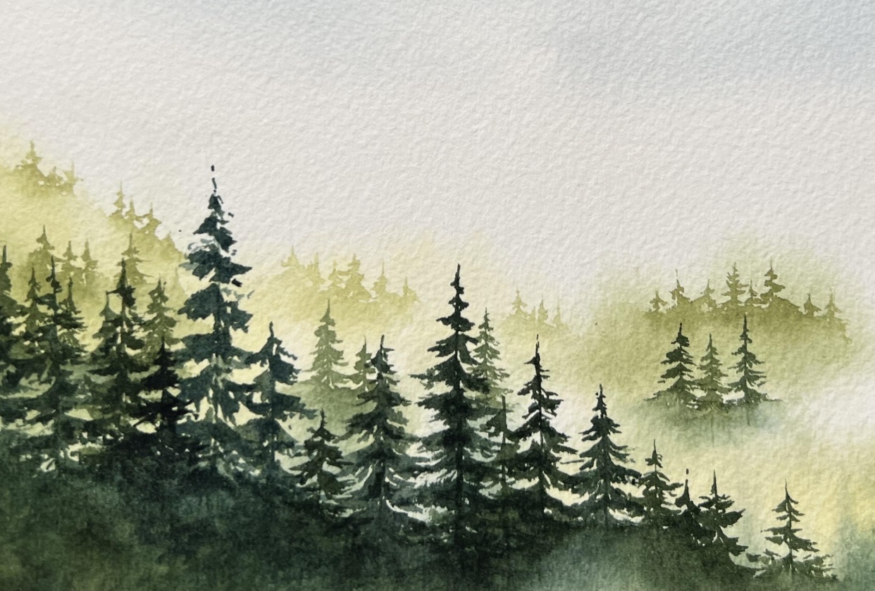 Misty Forest - student project