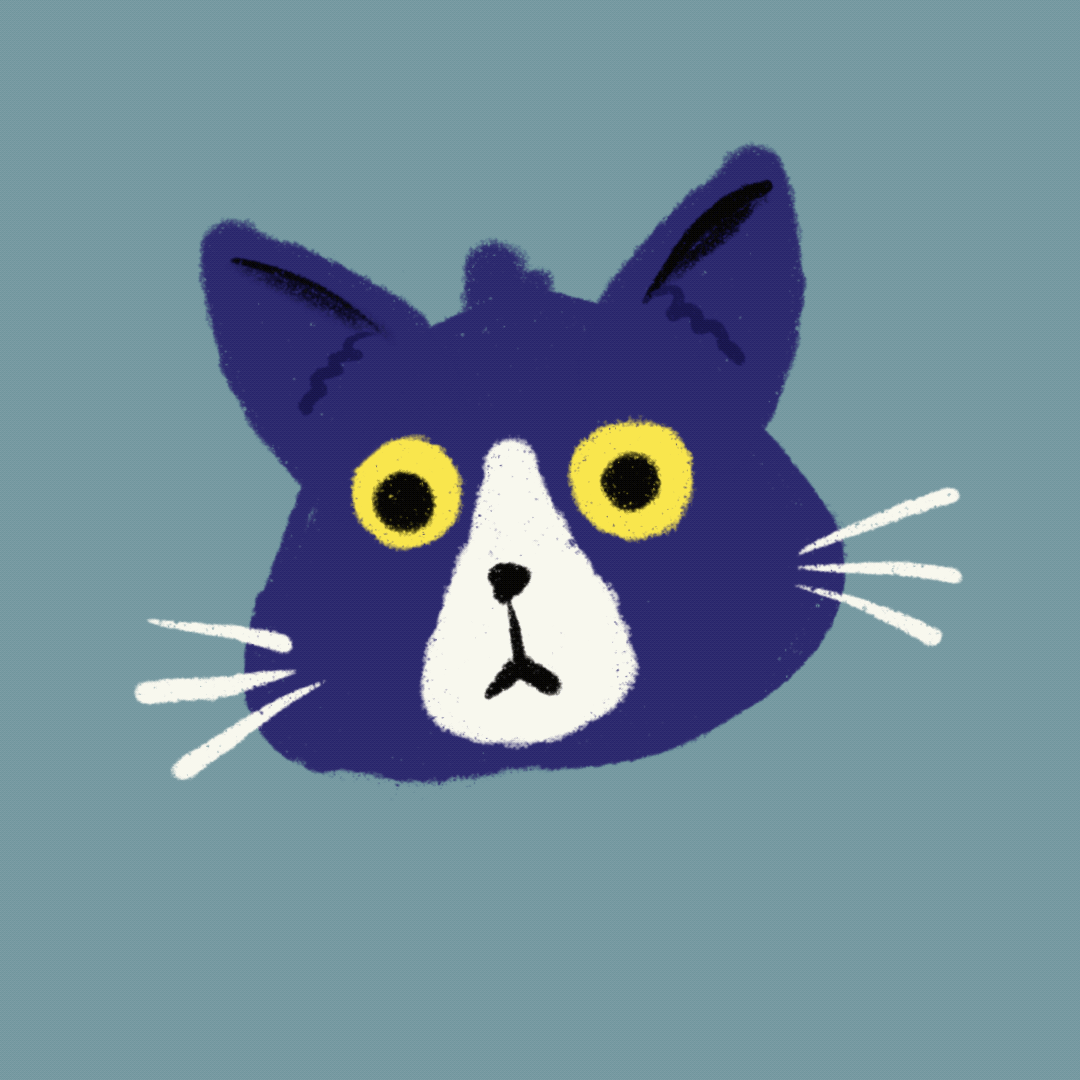 more-projects-from-class-img