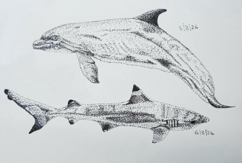 Ink with Me Shark & Dolphin