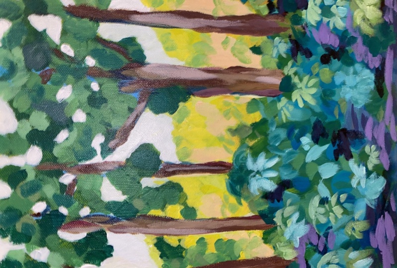 Back lit forest