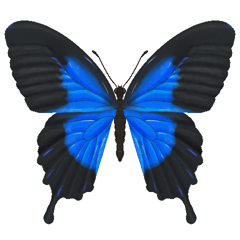 more-projects-from-class-img