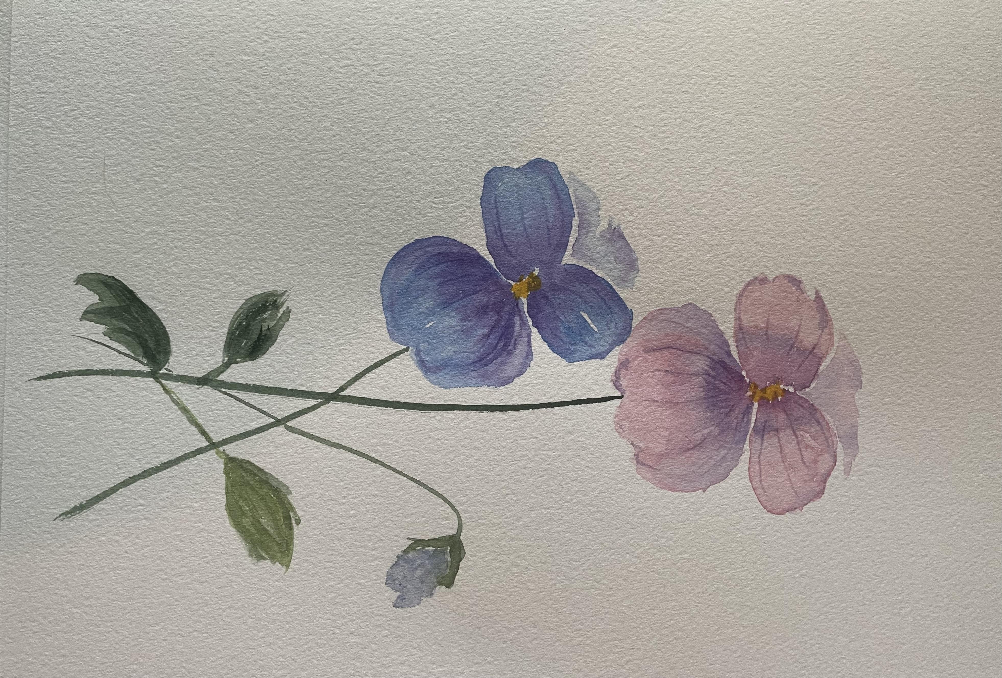 Loose pansies - student project