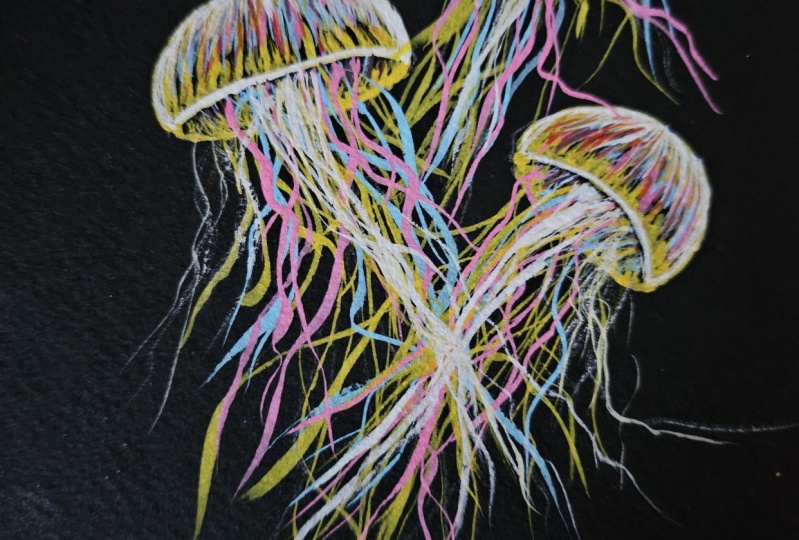 Jelly fish posca pens