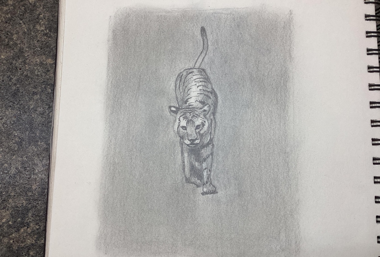 How to Draw Animals - student project