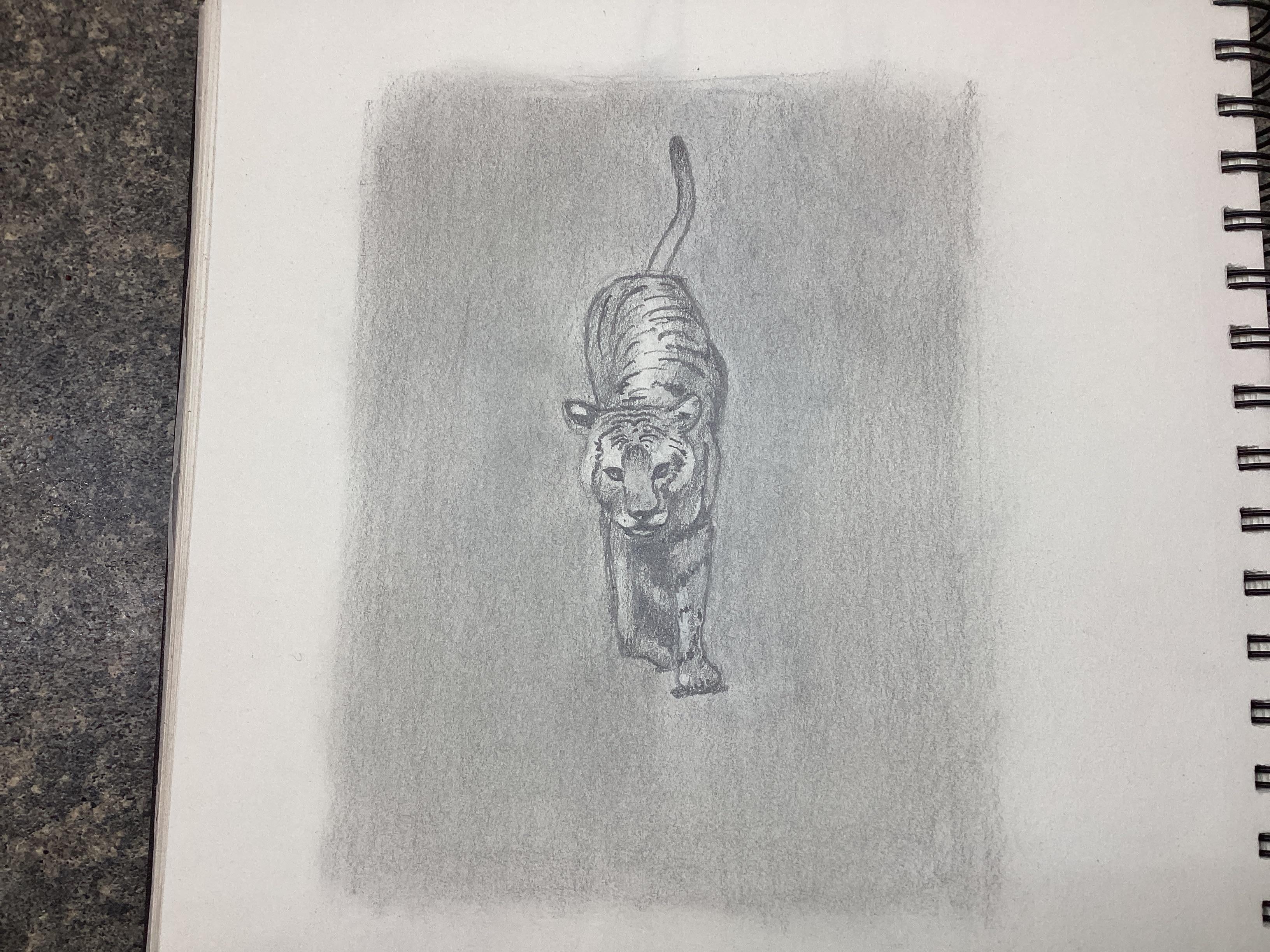 more-projects-from-class-img