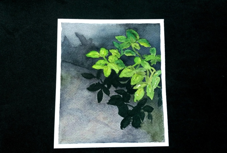 Granulating Color