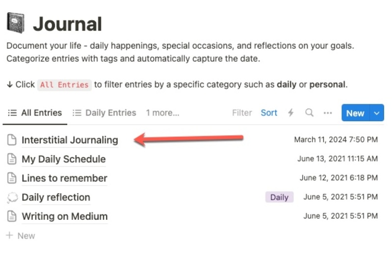 My journal entry format