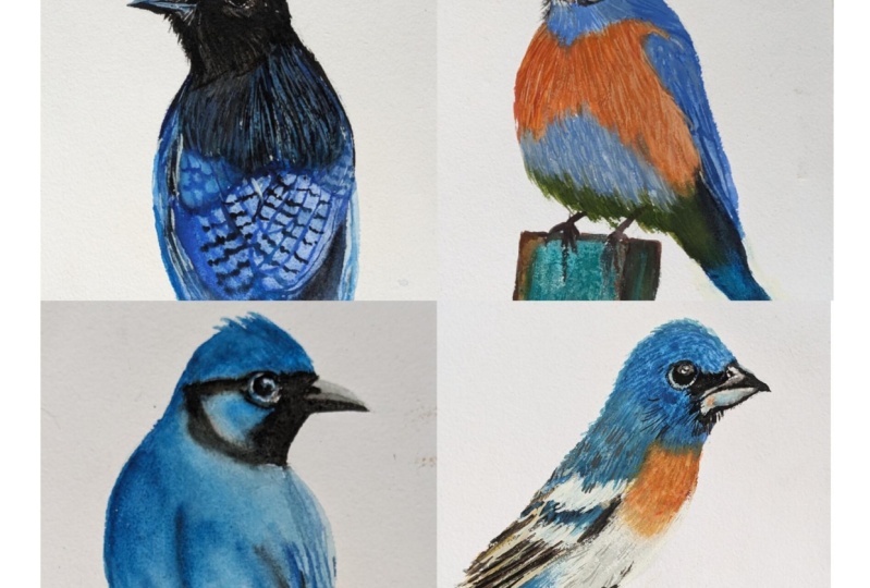 From Hobbyist to Professional Artist : Paint a Fine Art Collection