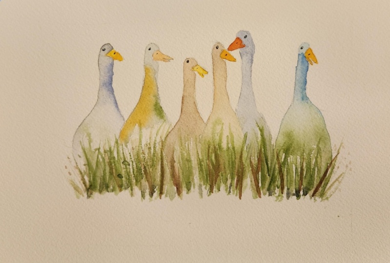 Feeling Ducky