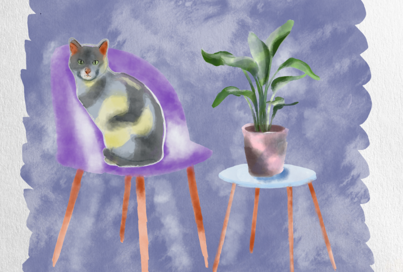 Paint room in watercolour procreate