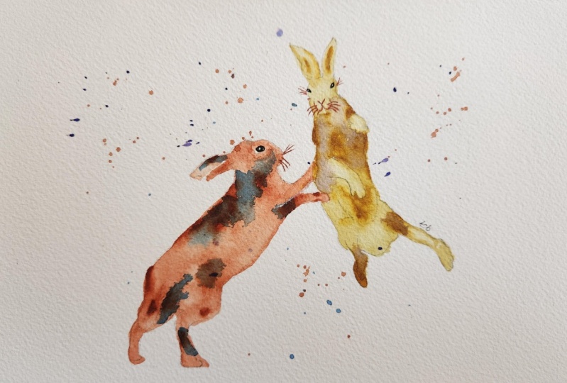 Boxing bunnies