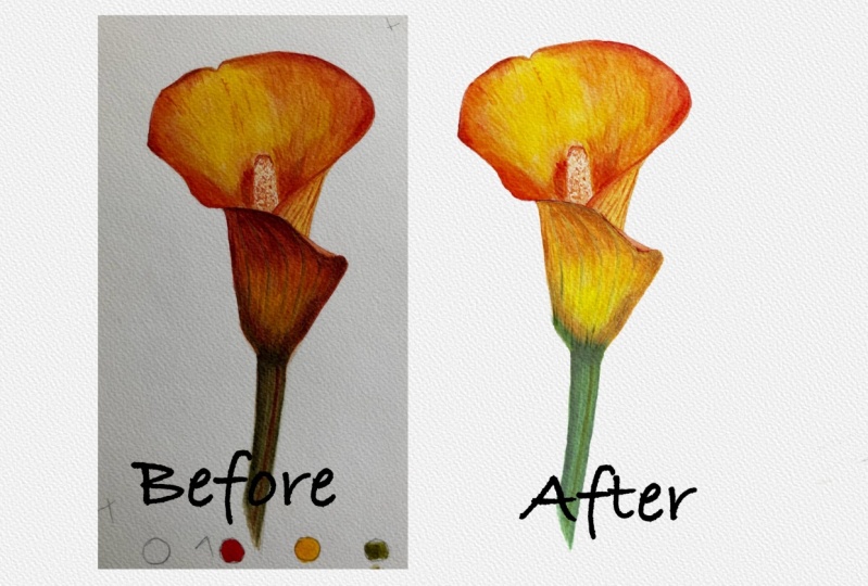 Digitalizing watercolor