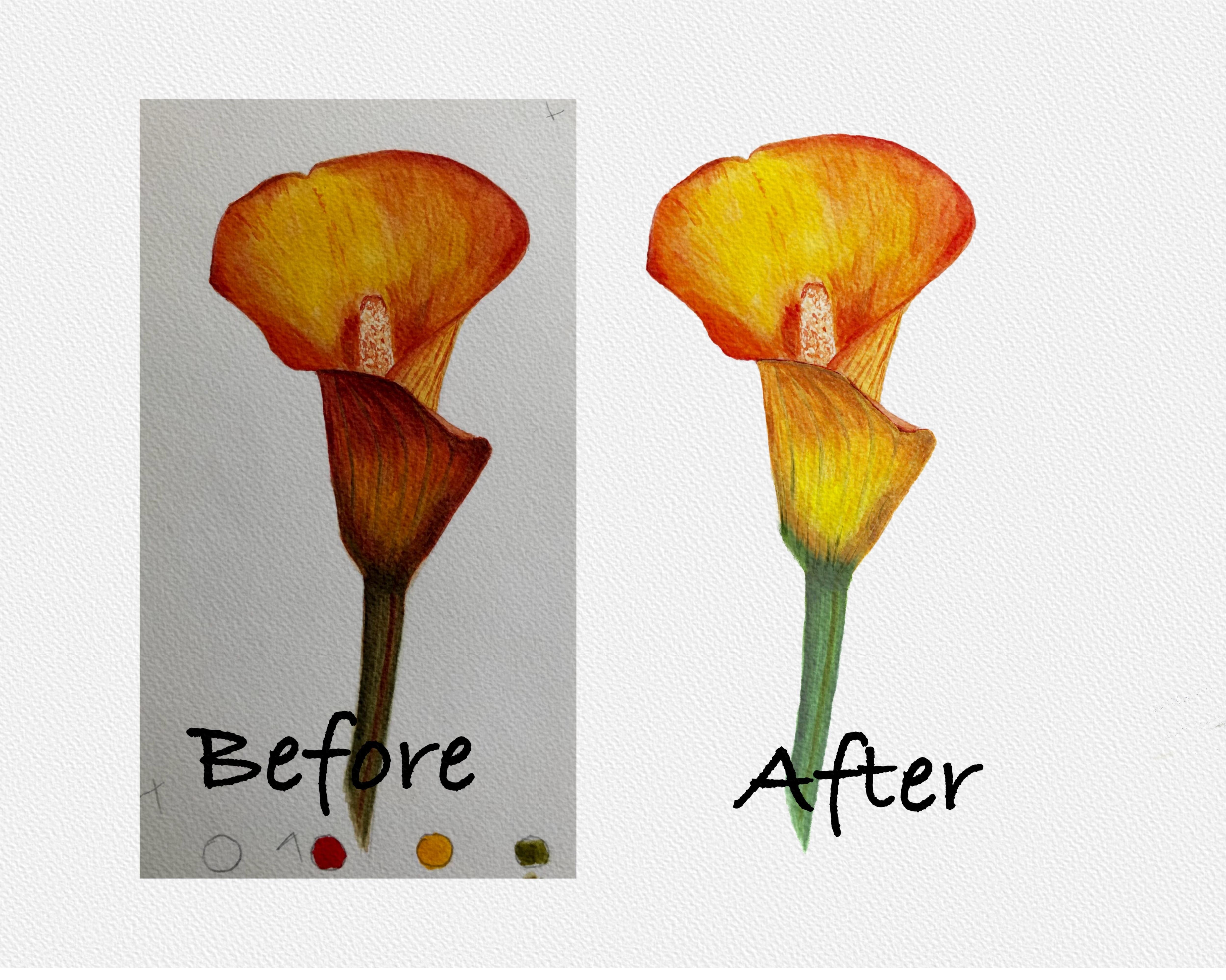 more-projects-from-class-img