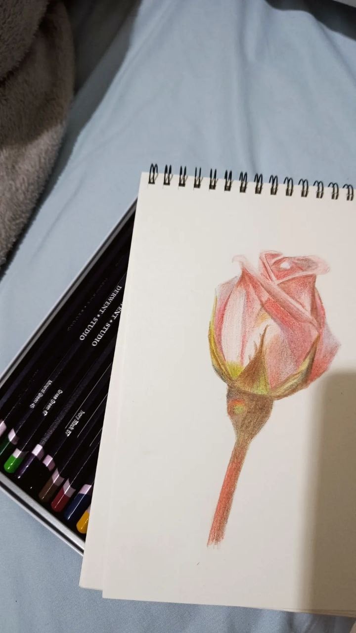 Learning pencil color - student project