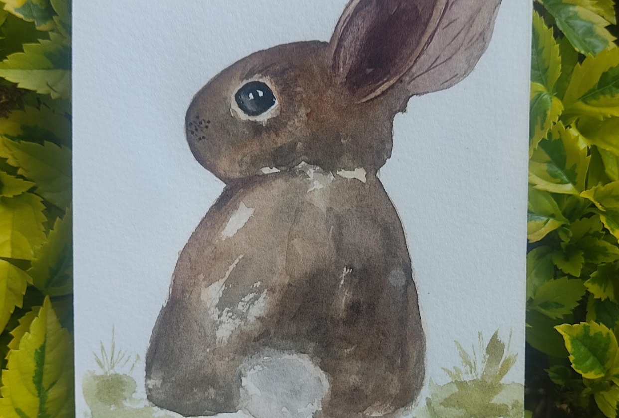Little bunnies - student project