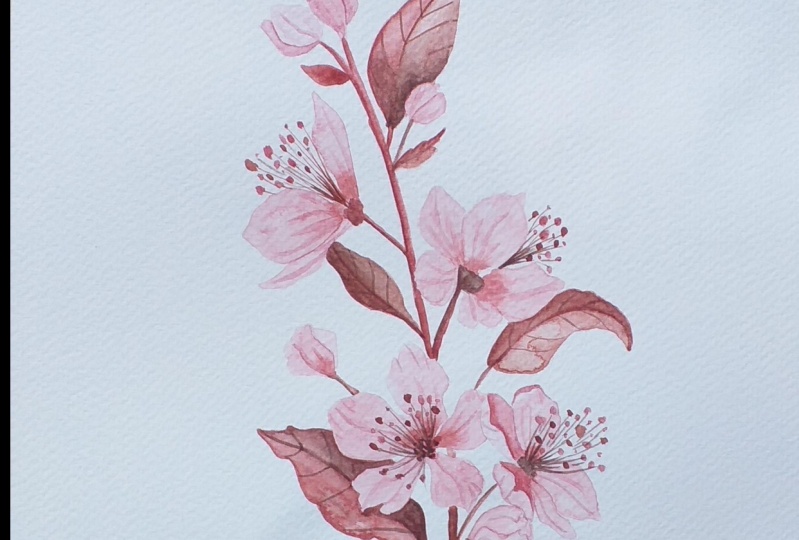 Spring blossom