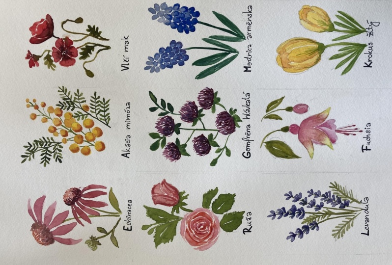 flowers