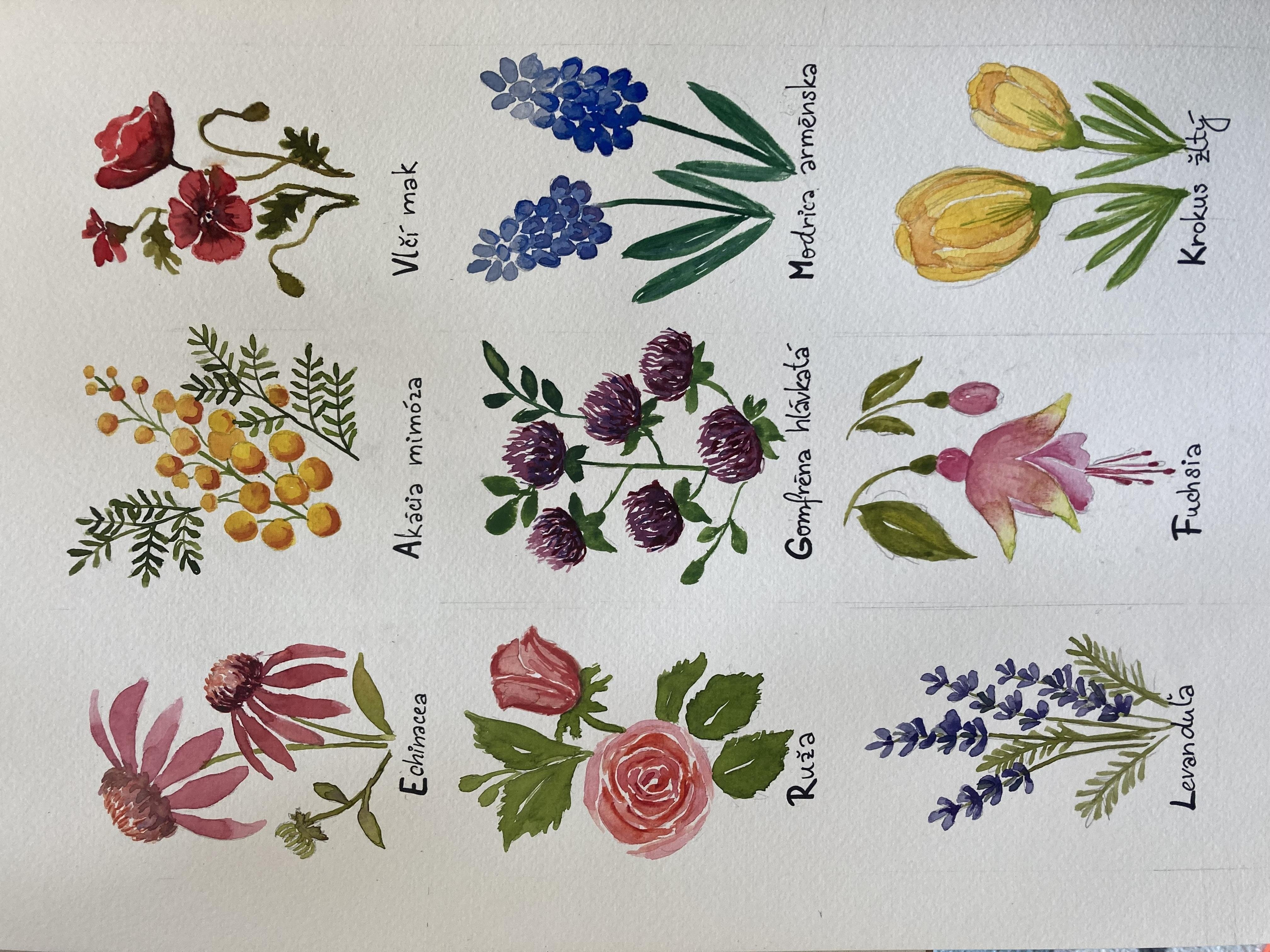 flowers - student project
