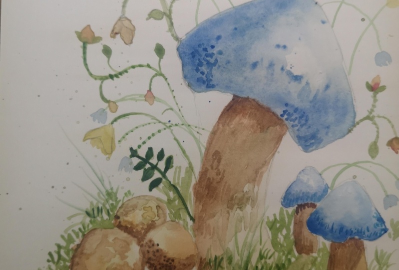Mushroom and flowers