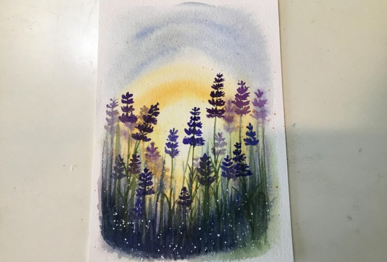 Lavender