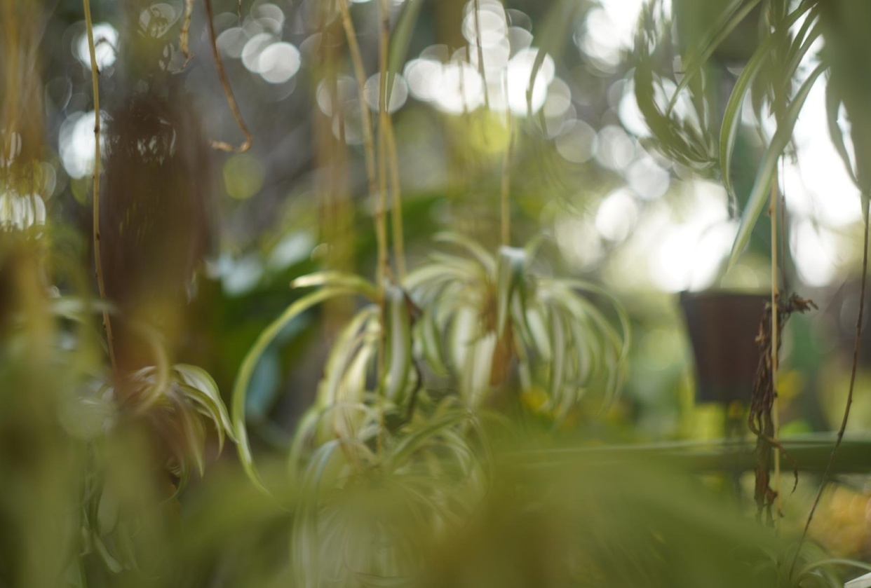 Shutter speed - student project