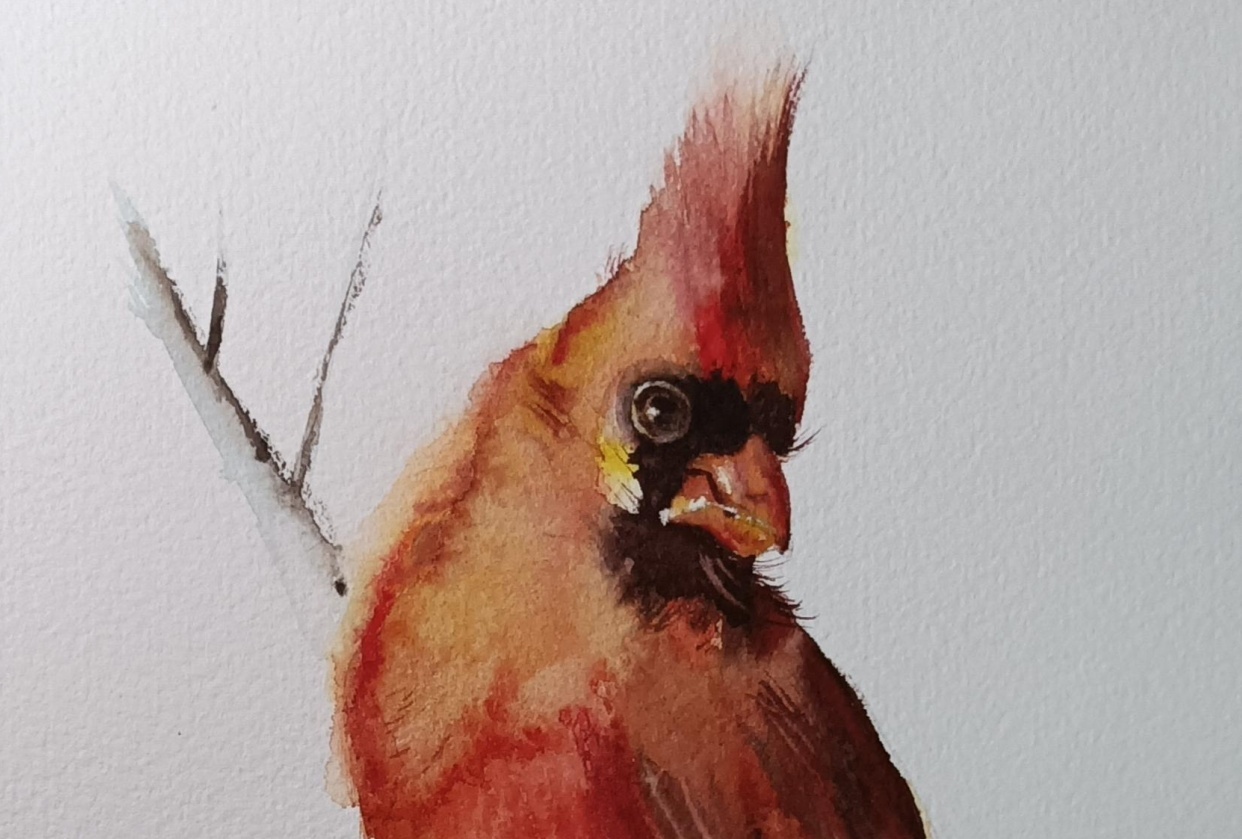 Birbs - student project