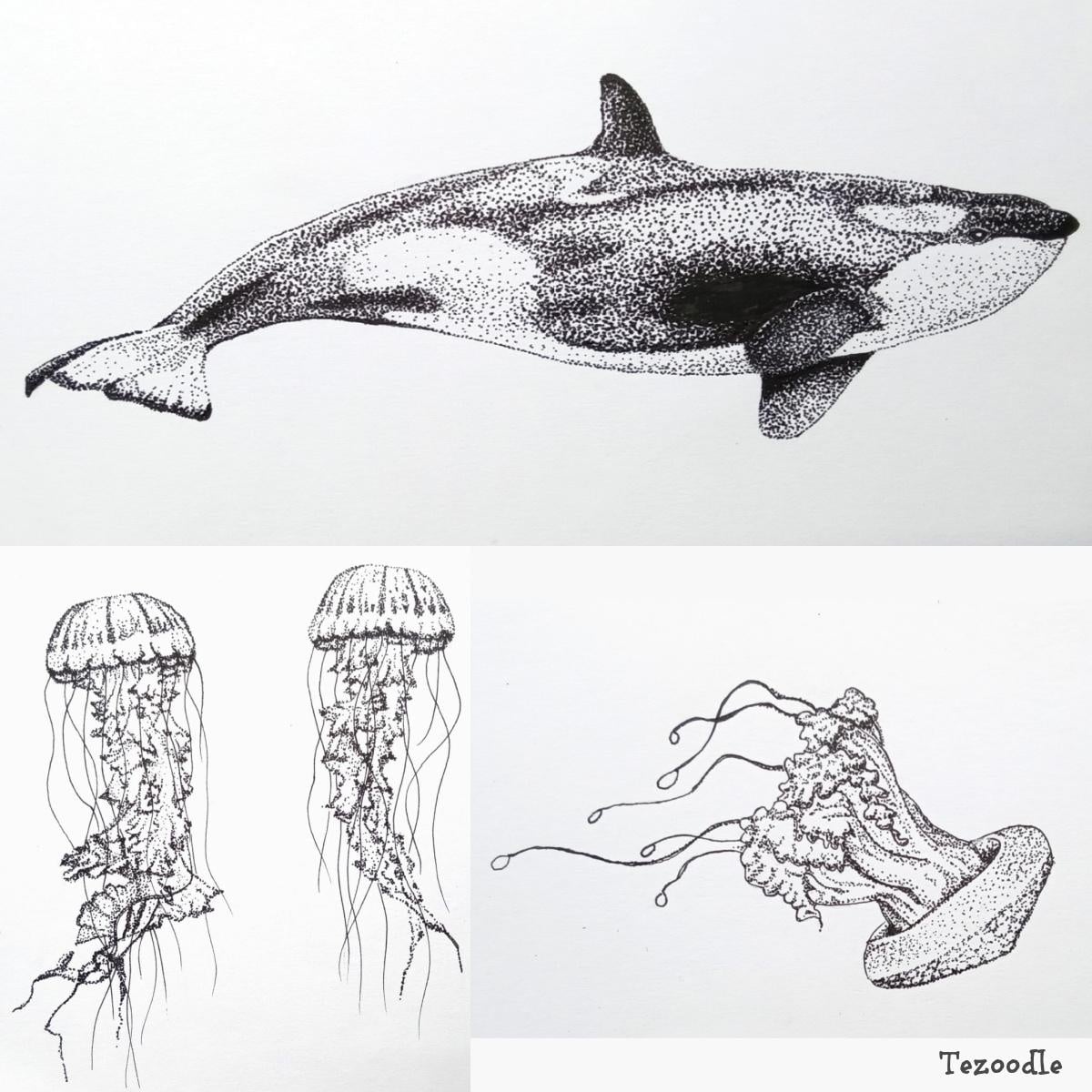 more-projects-from-class-img