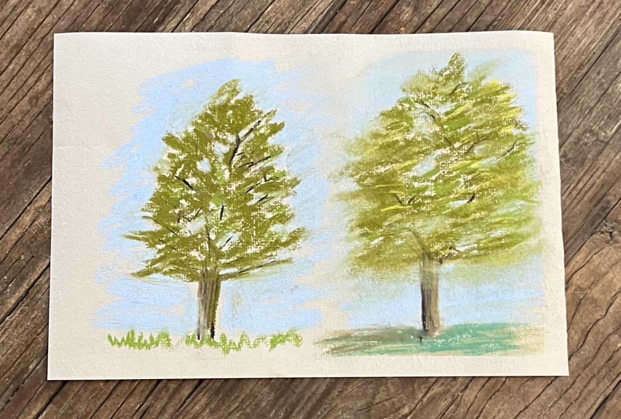 How To Draw Trees w/Soft Pastels - student project