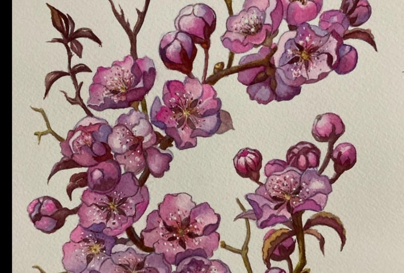 Blossoms