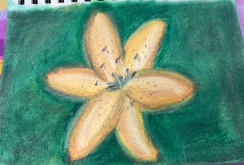 Yellow Lily