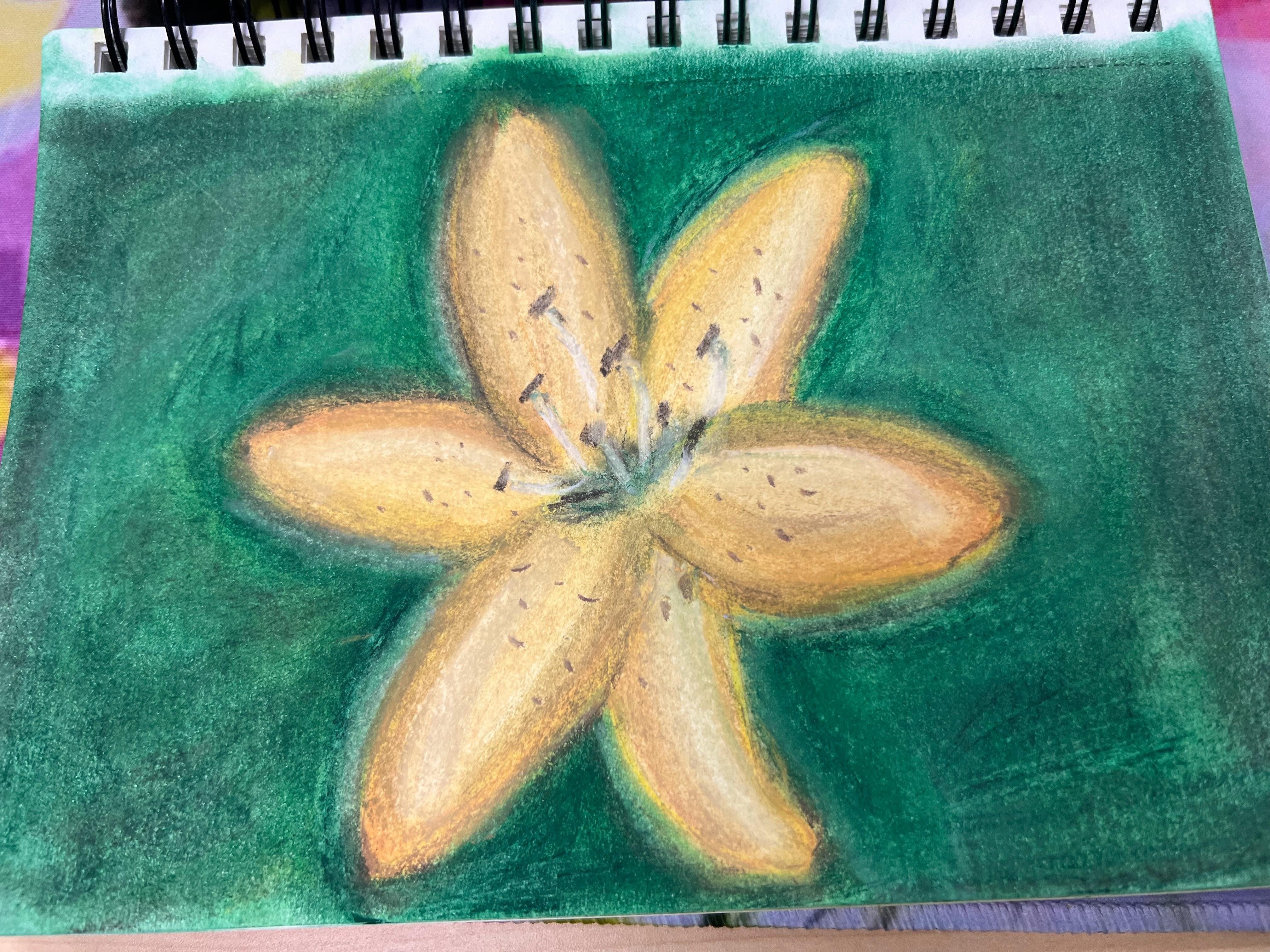more-projects-from-class-img