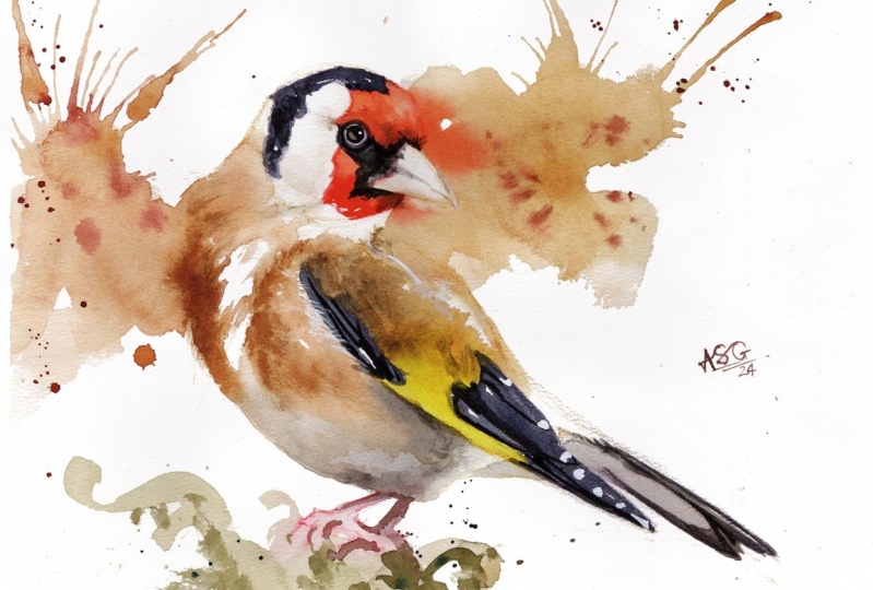 Glorious Goldfinch