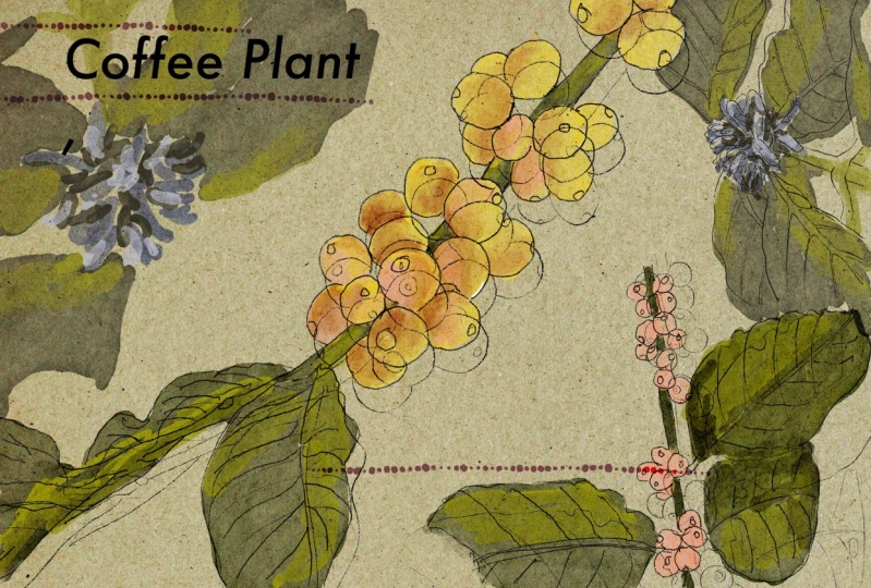 Coffee Poster