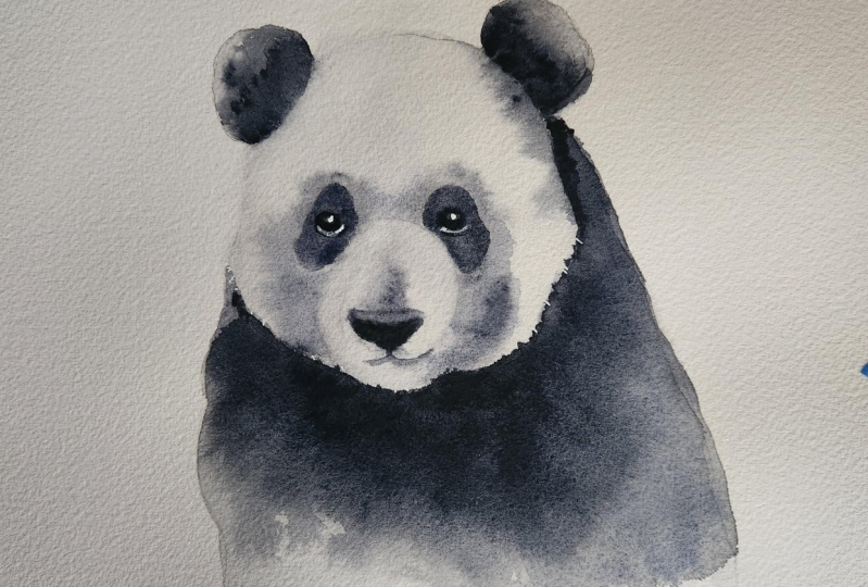 PANDAmodium!!