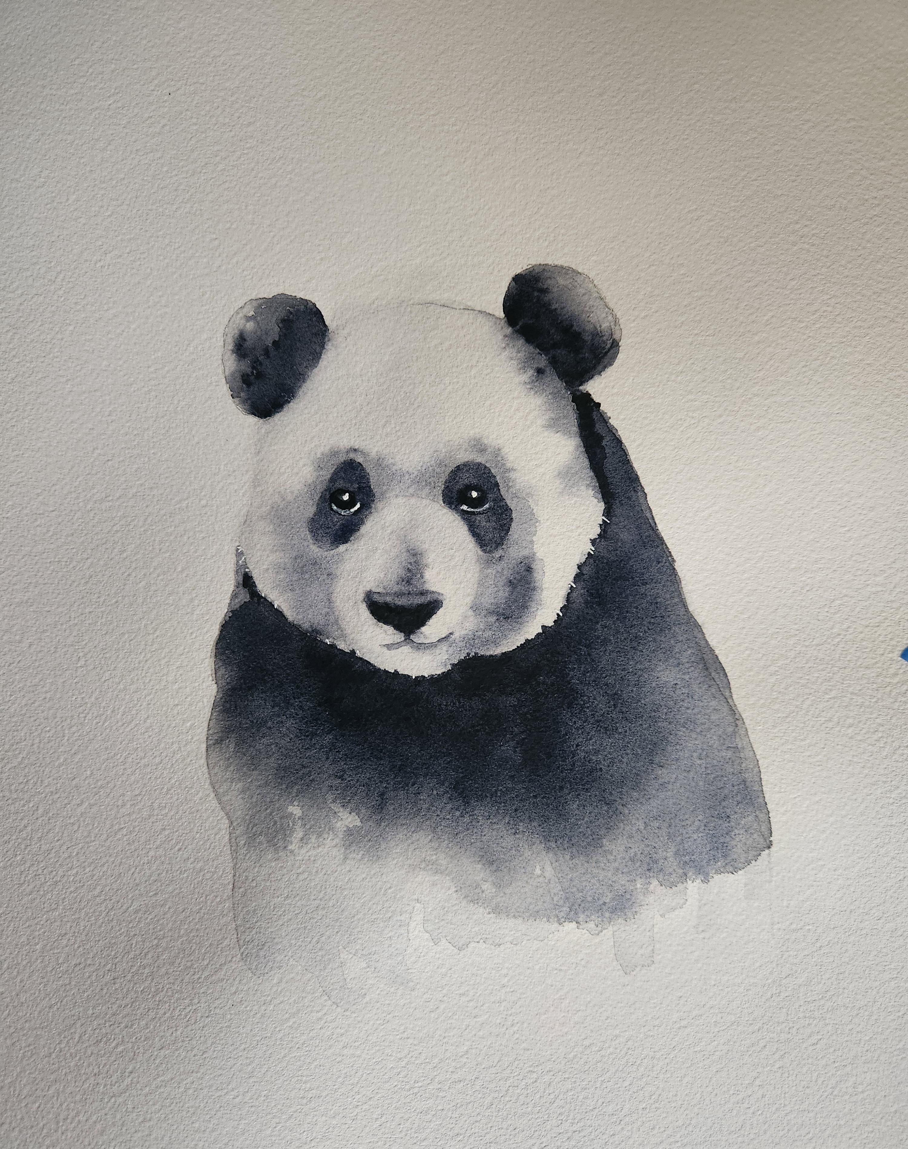PANDAmodium!! - student project