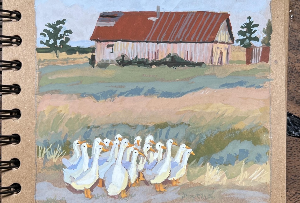 Gouache ducks - student project