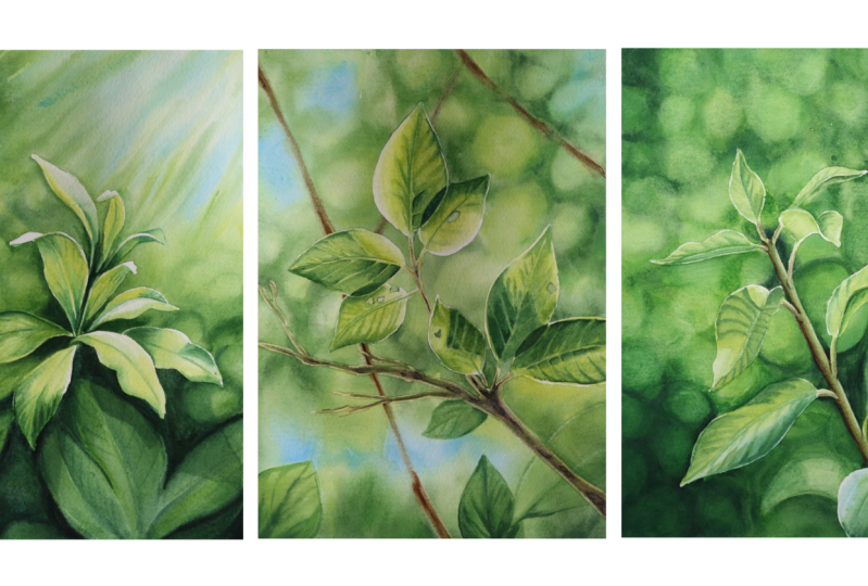 Creating Light in  Art