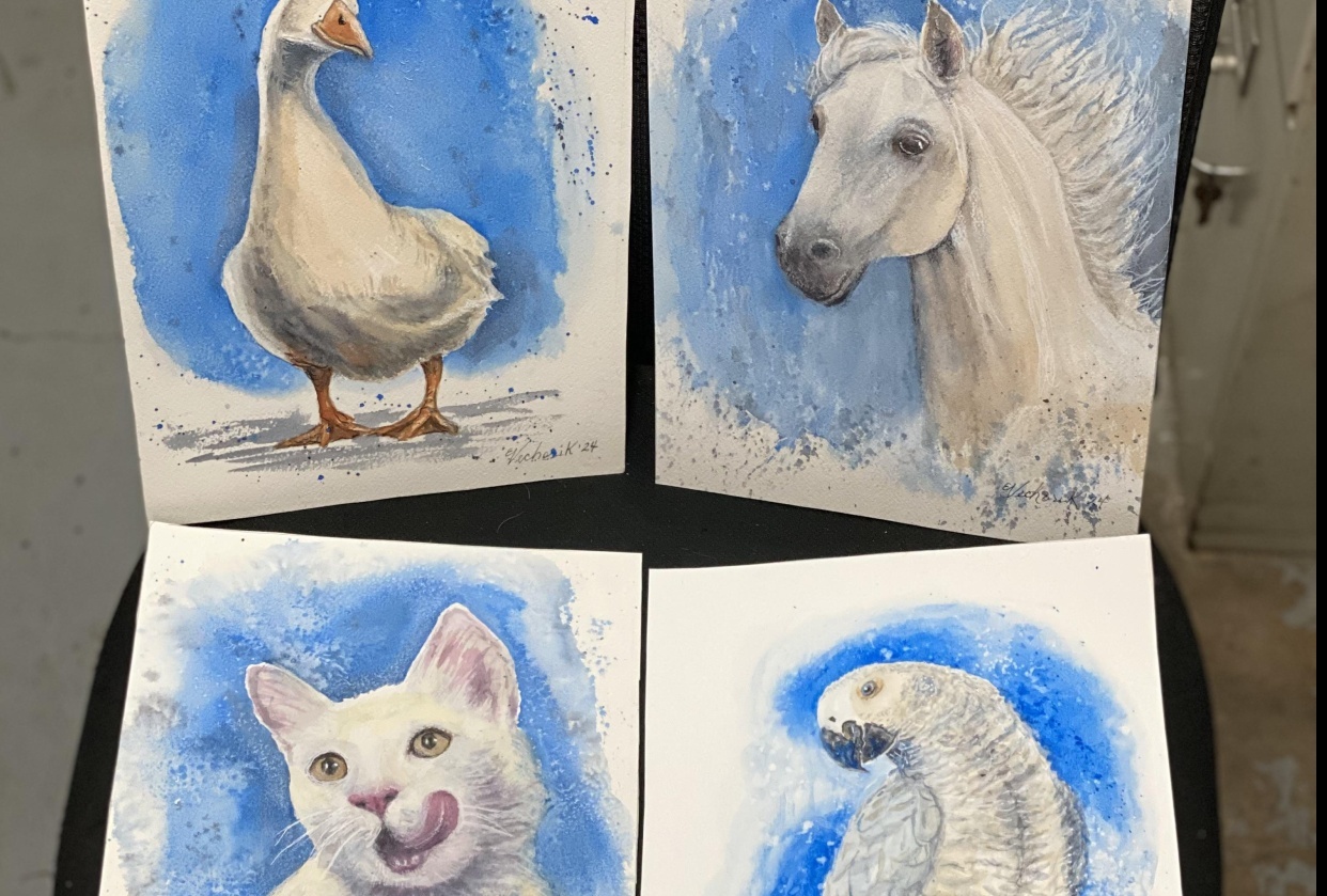 Series - and long-term projects - student project