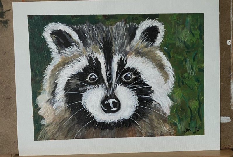 Rocky the Raccoon