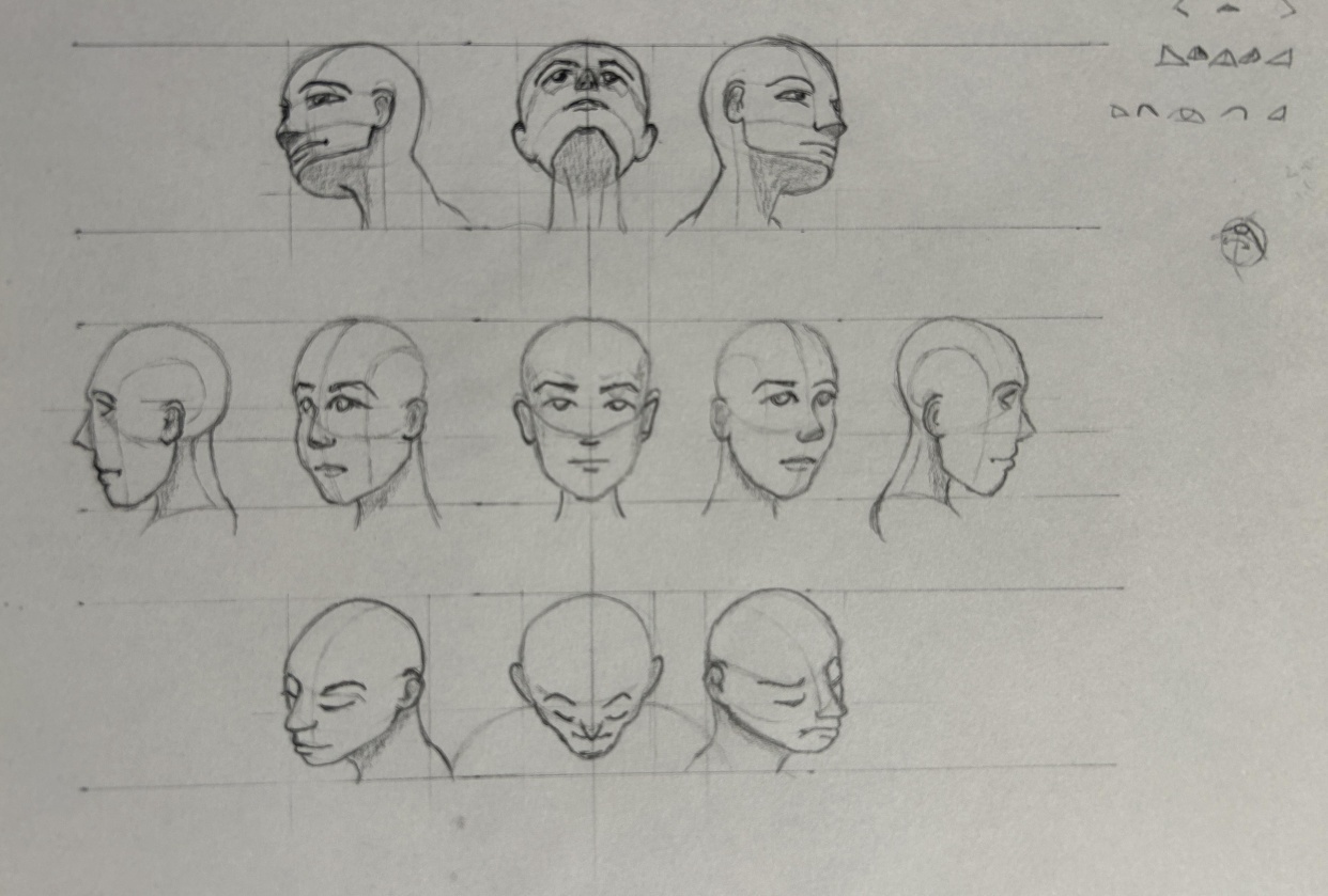 head angles - student project