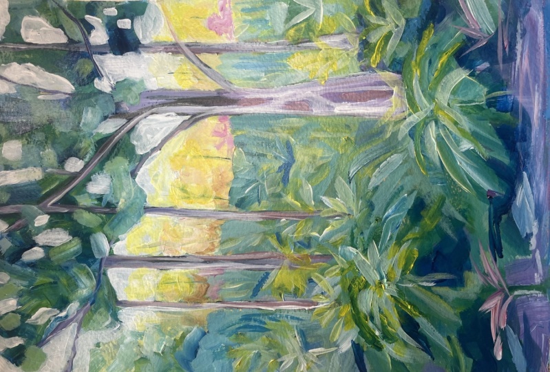 Back Lit Forest