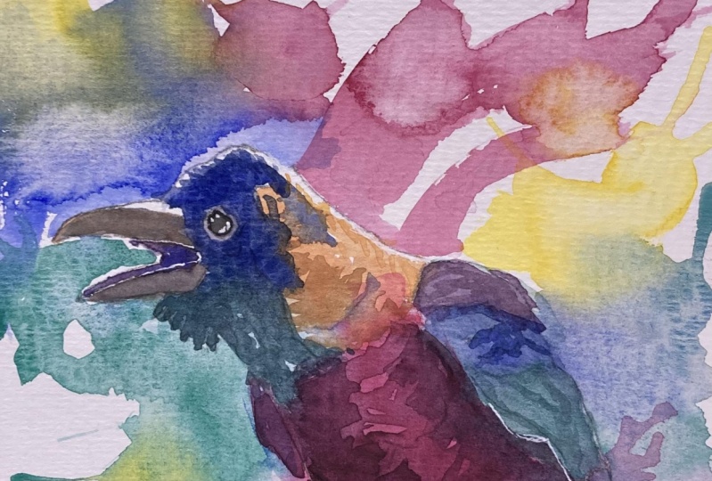 Crow - 3/24/24