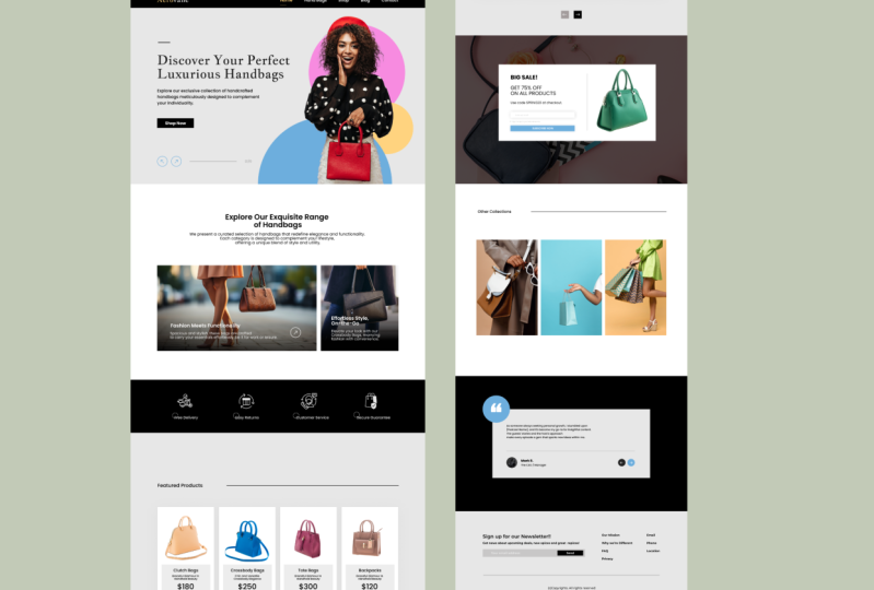 Hand Bag E-commerce