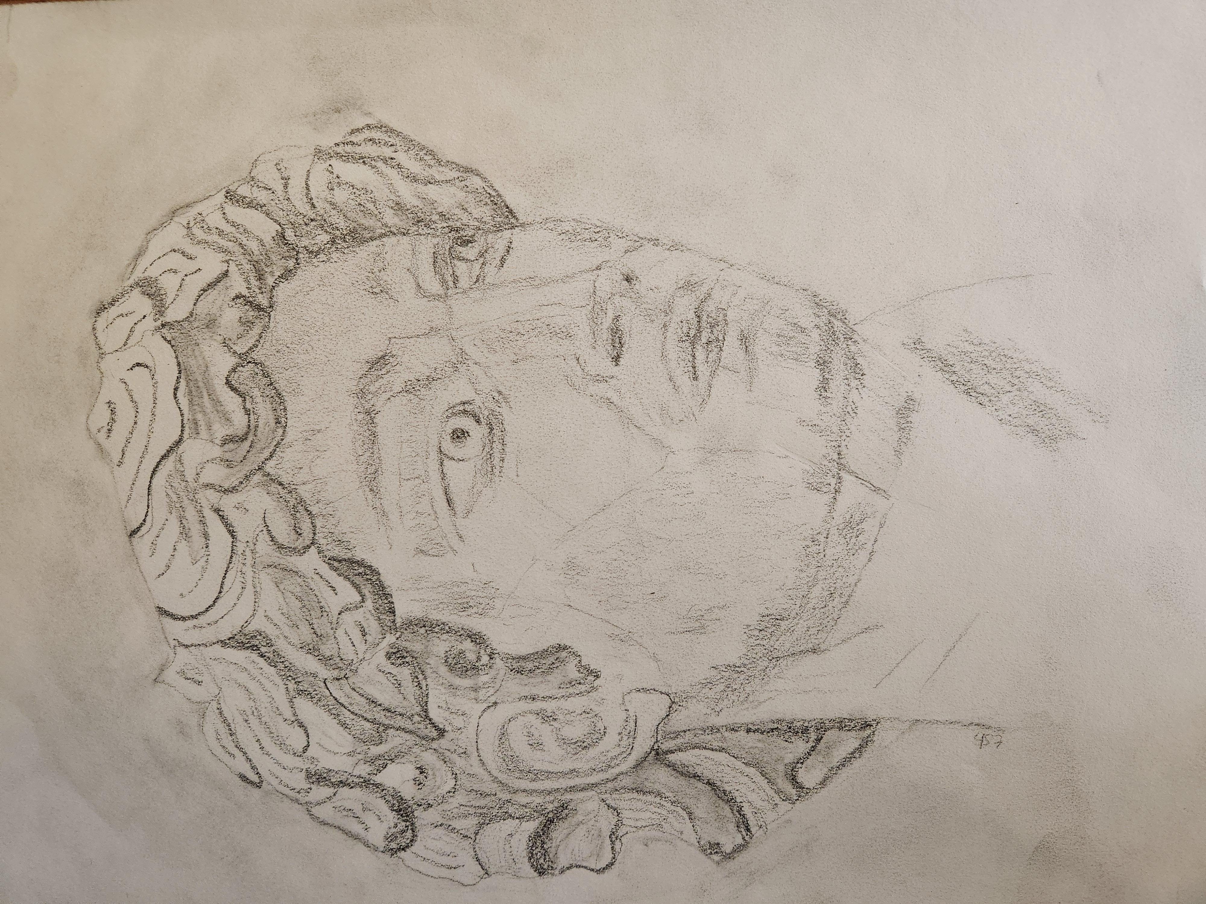 David - student project